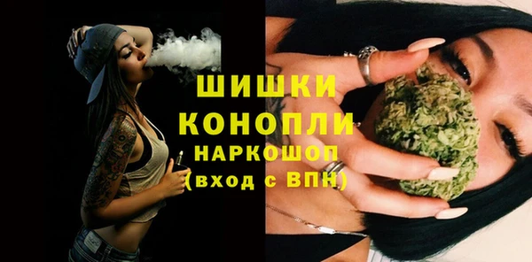 гидра Армянск