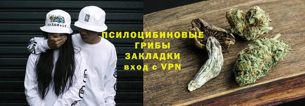 прущий лед Аркадак